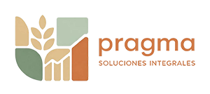 Pragma